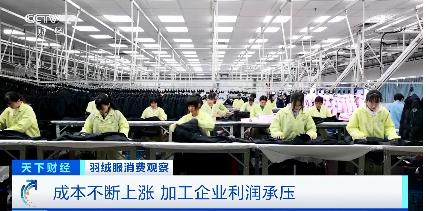 羽绒服轮番涨价 中高端产品还卖得更火了 断货断码,咋回事